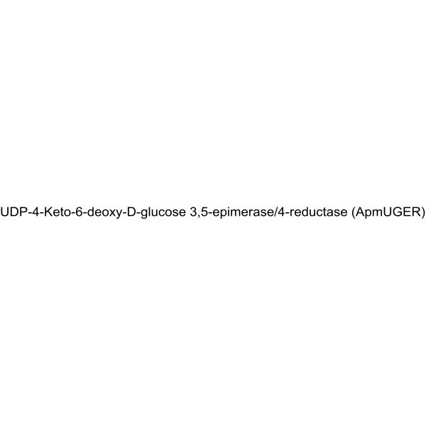 UDP-4-Keto-6-deoxy-D-glucose 3,5-epimerase/4-reductase (ApmUGER) 68189-53-7